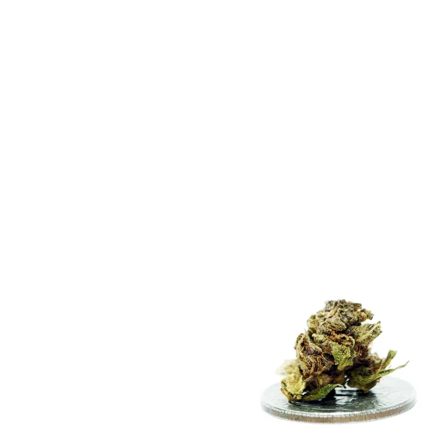 Laglig Marijuana, Pot, ogräs eller Cannabis — Stockfoto