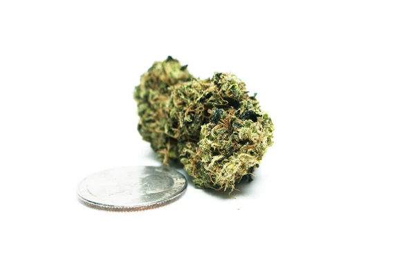 Marijuana Cannabis o germogli di erba dalla pianta di vaso — Foto Stock