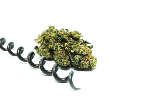 Marihuana-Cannabis of onkruid toppen van de potplant — Stockfoto