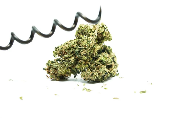 Marihuána-Cannabis vagy füvet rügyek a Pot növény — Stock Fotó