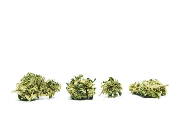 Marijuana and cannabis on a white background — Stock Photo, Image