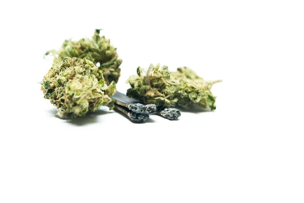 Marijuana och cannabis på en vit bakgrund — Stockfoto