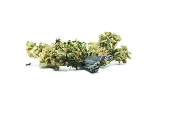 Marijuana och cannabis på en vit bakgrund — Stockfoto