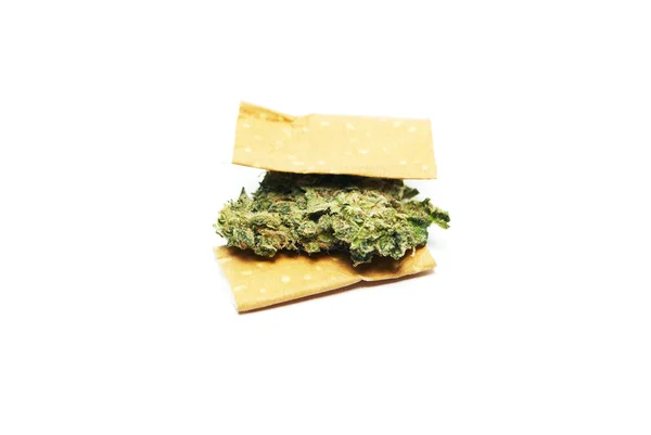 Marihuana a konopí na bílém pozadí — Stock fotografie