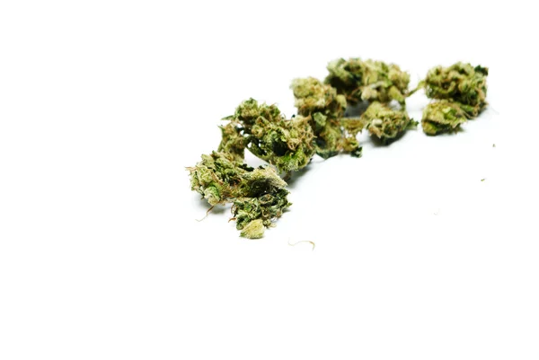 Marihuana a konopí na bílém pozadí — Stock fotografie