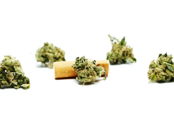 Marijuana și canabisul pe un fundal alb — Fotografie, imagine de stoc