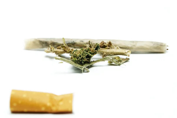 마리화나 와 마리화나 가 흰 배경에 있다 — 스톡 사진