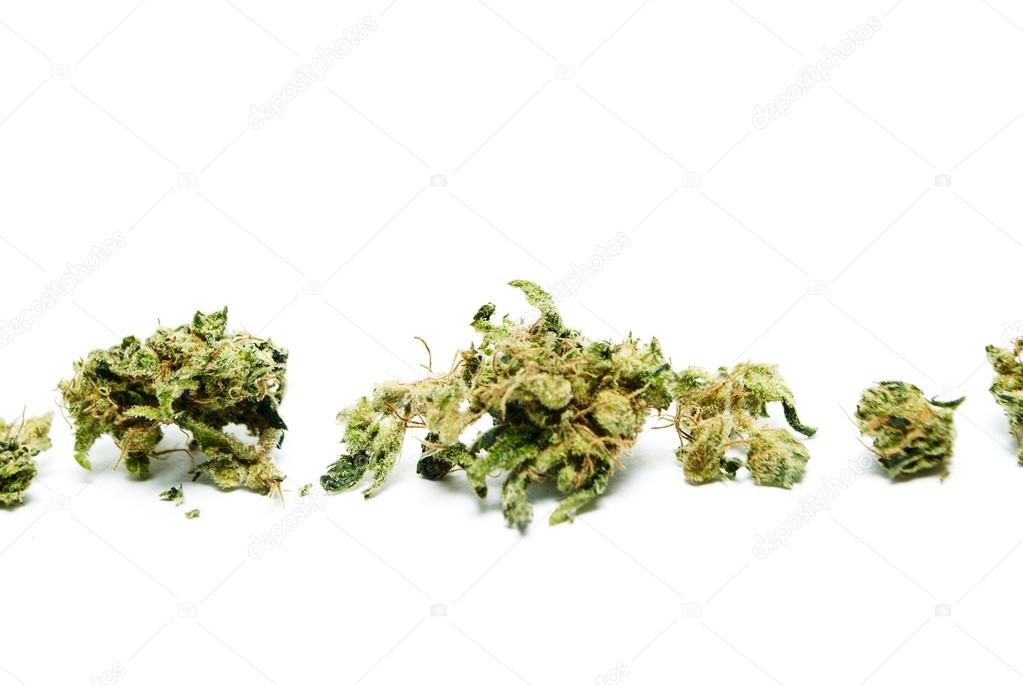 Marijuana and cannabis on a white background 