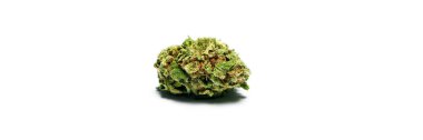 marijuana and cannabis bud, medical and recreational weed 