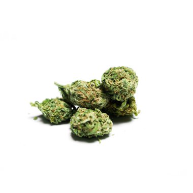 Esrar ve esrar tomurcukları, tıbbi ve eğlence amaçlı ot  