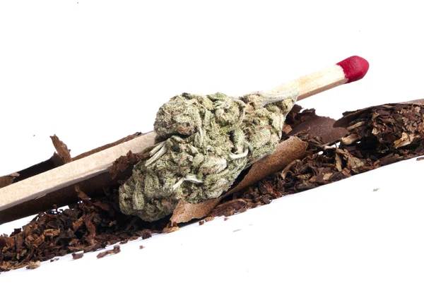 Marijuana — Stock Photo, Image