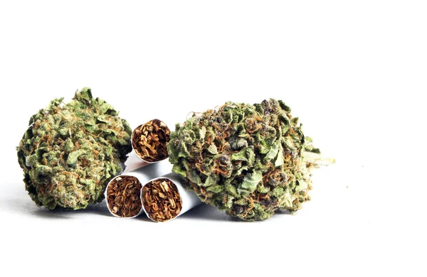 Marijuana — Stock Photo, Image