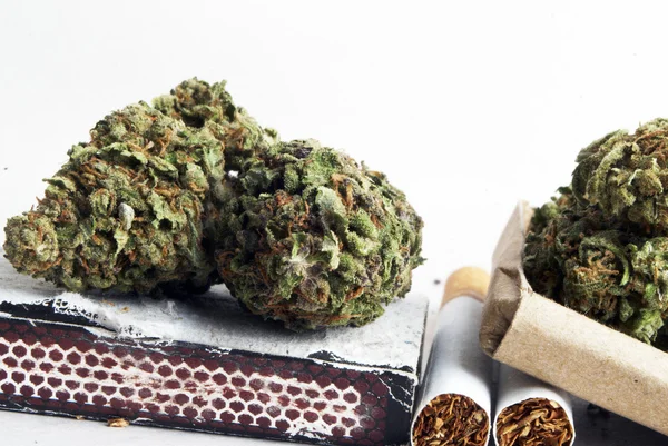 Marihuana — Stockfoto