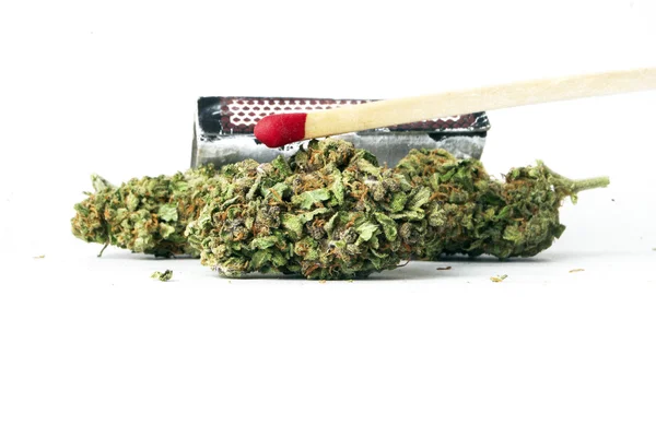 Marijuana — Stock Photo, Image