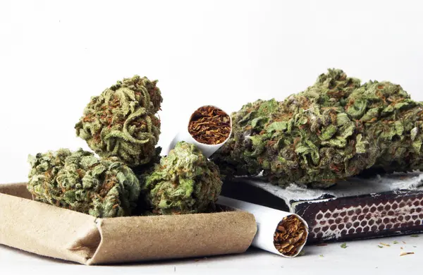 Marihuana — Stockfoto