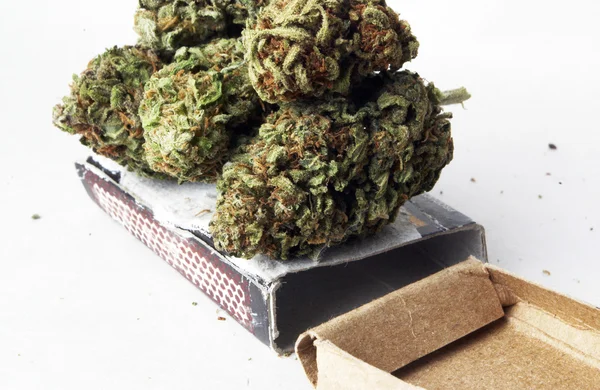 Marijuana — Stock Photo, Image