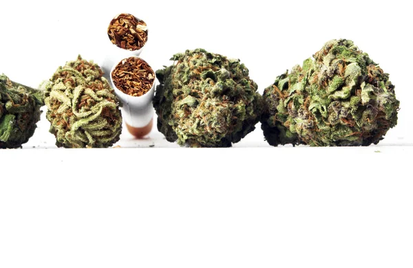 Marihuana — Stockfoto