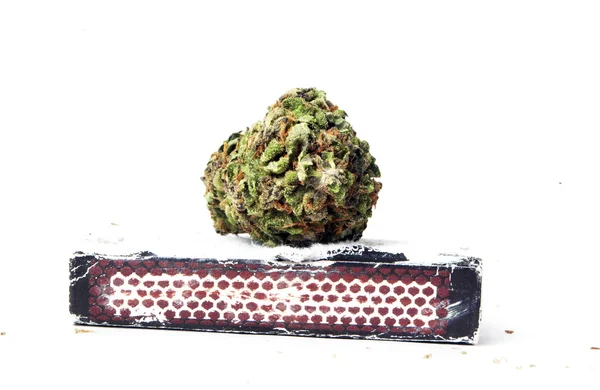 Marihuana — Stockfoto