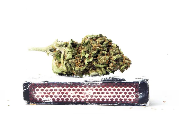 Marijuana — Foto Stock