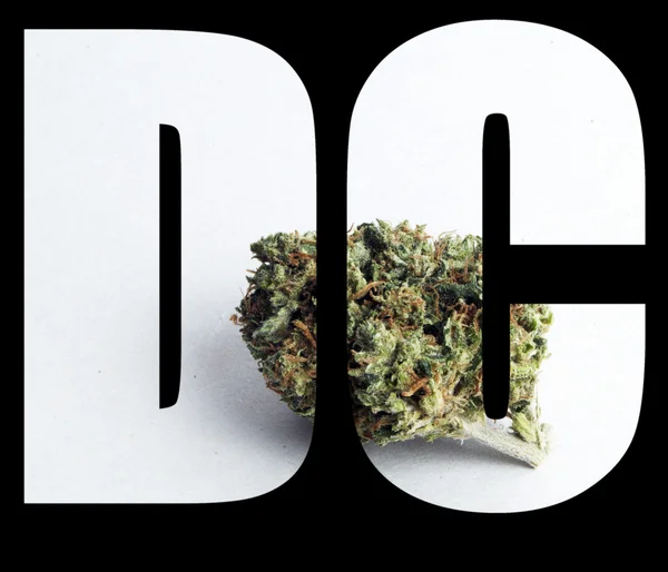 Marihuana, Washington Dc — Stock fotografie