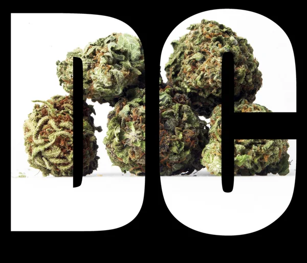 Marijuana, Washington Dc — Stockfoto
