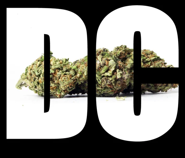 Marijuana, Washington Dc — Foto Stock