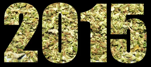 Marijuana 2015 — Stockfoto