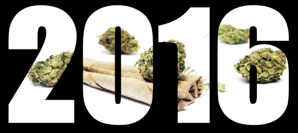 Marihuana 2016 — Foto de Stock