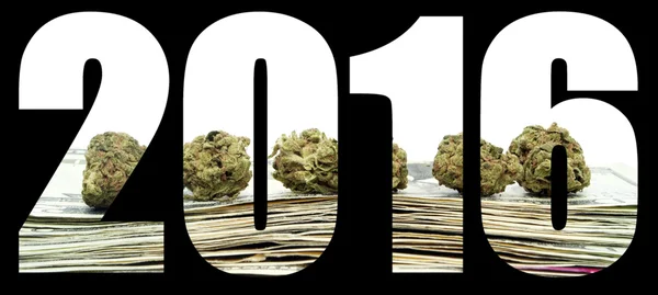 Marijuana 2016 — Stockfoto