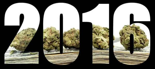 Marihuana 2016 — Foto de Stock