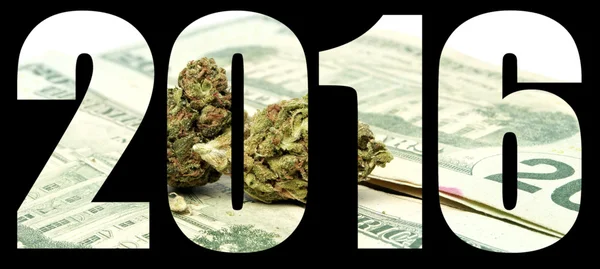 Marijuana 2016 — Stockfoto