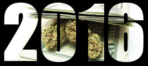Marijuana 2016 — Stockfoto