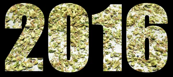 Marijuana 2016 — Stockfoto