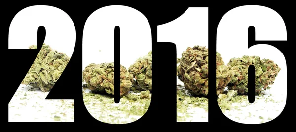 Marijuana 2016 — Stockfoto