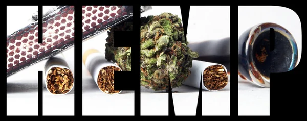Hampa, Marijuana — Stockfoto