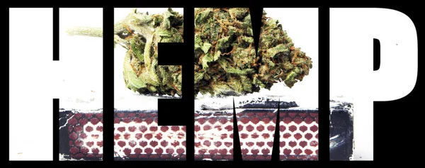 大麻、マリファナ — ストック写真