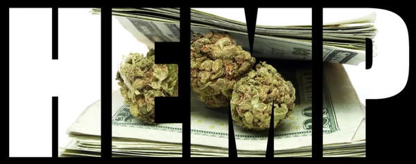 Konopi marihuany — Zdjęcie stockowe