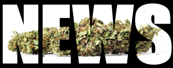 Marijuana nyheter — Stockfoto