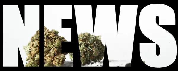 Marijuana News — Stock Photo, Image