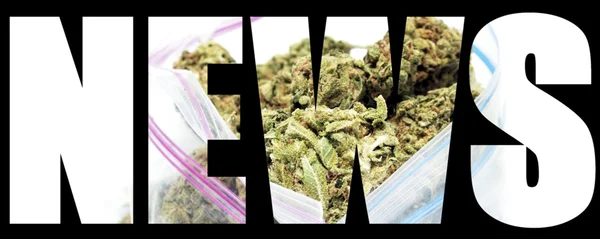 Marihuana nieuws — Stockfoto
