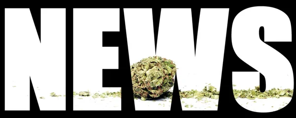 Marihuana nieuws — Stockfoto