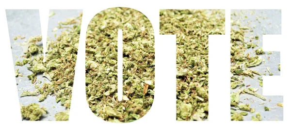 大麻投票 — 图库照片