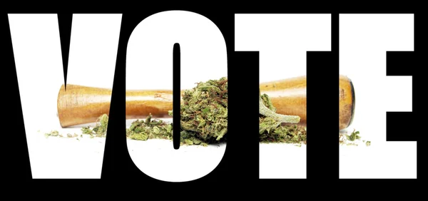 大麻投票 — 图库照片