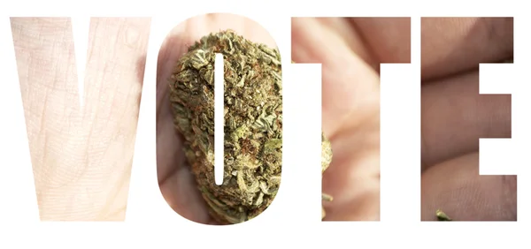 Vote sur la marijuana — Photo