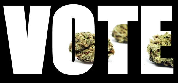 Vote sur la marijuana — Photo