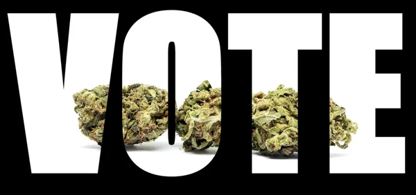 Vote sur la marijuana — Photo