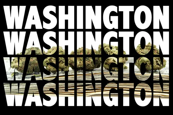 Washington di marijuana — Foto Stock