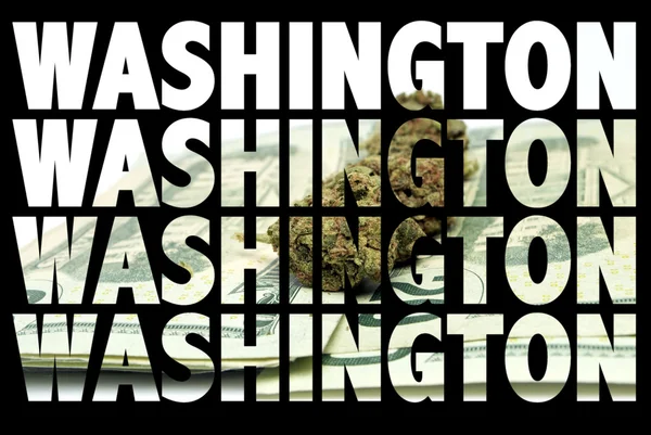 Marijuana Washington — Stockfoto