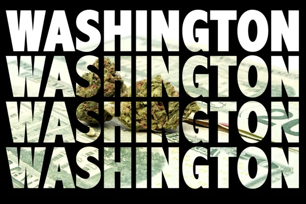 Marijuana Washington — Stockfoto