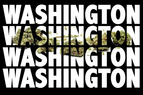 Marihuana washington — Stock fotografie